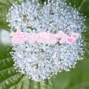 ヒメ日記 2025/06/05 22:17 投稿 みわ(昭和39年生まれ) 熟年カップル名古屋～生電話からの営み～