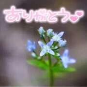 ヒメ日記 2025/06/06 22:17 投稿 みわ(昭和39年生まれ) 熟年カップル名古屋～生電話からの営み～