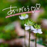 ヒメ日記 2025/06/10 21:22 投稿 みわ(昭和39年生まれ) 熟年カップル名古屋～生電話からの営み～