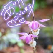 ヒメ日記 2025/06/10 21:31 投稿 みわ(昭和39年生まれ) 熟年カップル名古屋～生電話からの営み～