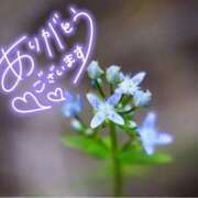 ヒメ日記 2025/06/11 21:37 投稿 みわ(昭和39年生まれ) 熟年カップル名古屋～生電話からの営み～