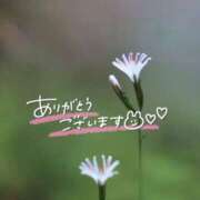 ヒメ日記 2025/06/24 21:34 投稿 みわ(昭和39年生まれ) 熟年カップル名古屋～生電話からの営み～