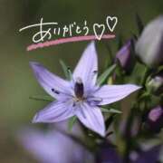 ヒメ日記 2025/06/24 21:40 投稿 みわ(昭和39年生まれ) 熟年カップル名古屋～生電話からの営み～