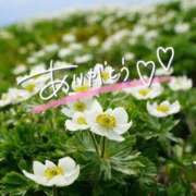 ヒメ日記 2025/06/28 22:07 投稿 みわ(昭和39年生まれ) 熟年カップル名古屋～生電話からの営み～