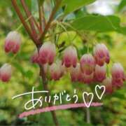 ヒメ日記 2025/07/03 22:30 投稿 みわ(昭和39年生まれ) 熟年カップル名古屋～生電話からの営み～