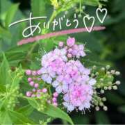 ヒメ日記 2025/07/03 23:16 投稿 みわ(昭和39年生まれ) 熟年カップル名古屋～生電話からの営み～