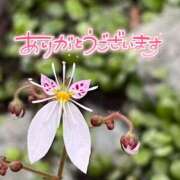 ヒメ日記 2025/07/07 22:30 投稿 みわ(昭和39年生まれ) 熟年カップル名古屋～生電話からの営み～