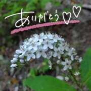 ヒメ日記 2025/07/08 22:15 投稿 みわ(昭和39年生まれ) 熟年カップル名古屋～生電話からの営み～