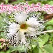 ヒメ日記 2025/07/08 22:23 投稿 みわ(昭和39年生まれ) 熟年カップル名古屋～生電話からの営み～