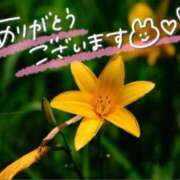 ヒメ日記 2025/07/09 21:26 投稿 みわ(昭和39年生まれ) 熟年カップル名古屋～生電話からの営み～