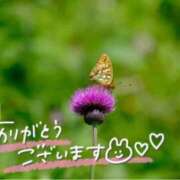 ヒメ日記 2025/07/09 21:33 投稿 みわ(昭和39年生まれ) 熟年カップル名古屋～生電話からの営み～