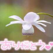 ヒメ日記 2025/07/10 21:45 投稿 みわ(昭和39年生まれ) 熟年カップル名古屋～生電話からの営み～