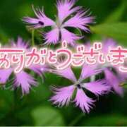 ヒメ日記 2025/07/14 21:46 投稿 みわ(昭和39年生まれ) 熟年カップル名古屋～生電話からの営み～