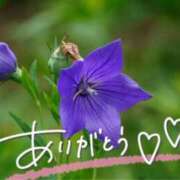 ヒメ日記 2025/07/14 21:52 投稿 みわ(昭和39年生まれ) 熟年カップル名古屋～生電話からの営み～