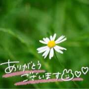 ヒメ日記 2025/07/15 22:38 投稿 みわ(昭和39年生まれ) 熟年カップル名古屋～生電話からの営み～