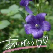 ヒメ日記 2025/07/16 21:24 投稿 みわ(昭和39年生まれ) 熟年カップル名古屋～生電話からの営み～