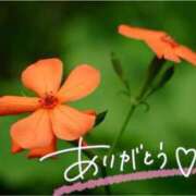 ヒメ日記 2025/07/17 21:28 投稿 みわ(昭和39年生まれ) 熟年カップル名古屋～生電話からの営み～