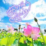 ヒメ日記 2025/07/23 22:08 投稿 みわ(昭和39年生まれ) 熟年カップル名古屋～生電話からの営み～