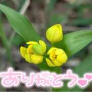 ヒメ日記 2025/07/26 22:31 投稿 みわ(昭和39年生まれ) 熟年カップル名古屋～生電話からの営み～