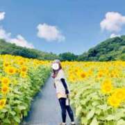 ヒメ日記 2025/07/27 09:36 投稿 みわ(昭和39年生まれ) 熟年カップル名古屋～生電話からの営み～