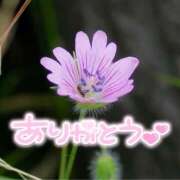 ヒメ日記 2025/07/27 22:29 投稿 みわ(昭和39年生まれ) 熟年カップル名古屋～生電話からの営み～