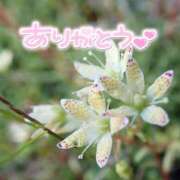 ヒメ日記 2025/08/04 21:57 投稿 みわ(昭和39年生まれ) 熟年カップル名古屋～生電話からの営み～