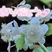 ヒメ日記 2025/08/06 21:08 投稿 みわ(昭和39年生まれ) 熟年カップル名古屋～生電話からの営み～