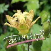 ヒメ日記 2025/08/06 22:17 投稿 みわ(昭和39年生まれ) 熟年カップル名古屋～生電話からの営み～