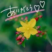 ヒメ日記 2025/08/07 22:30 投稿 みわ(昭和39年生まれ) 熟年カップル名古屋～生電話からの営み～