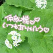 ヒメ日記 2025/08/08 21:11 投稿 みわ(昭和39年生まれ) 熟年カップル名古屋～生電話からの営み～