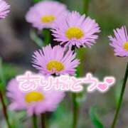 ヒメ日記 2025/08/11 22:16 投稿 みわ(昭和39年生まれ) 熟年カップル名古屋～生電話からの営み～