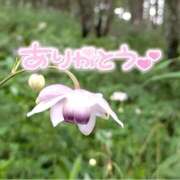 ヒメ日記 2025/08/13 21:34 投稿 みわ(昭和39年生まれ) 熟年カップル名古屋～生電話からの営み～