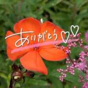 ヒメ日記 2025/08/13 21:46 投稿 みわ(昭和39年生まれ) 熟年カップル名古屋～生電話からの営み～