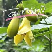 ヒメ日記 2025/08/14 22:17 投稿 みわ(昭和39年生まれ) 熟年カップル名古屋～生電話からの営み～