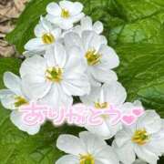 ヒメ日記 2025/08/14 22:21 投稿 みわ(昭和39年生まれ) 熟年カップル名古屋～生電話からの営み～