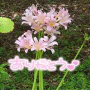 ヒメ日記 2025/08/15 20:09 投稿 みわ(昭和39年生まれ) 熟年カップル名古屋～生電話からの営み～