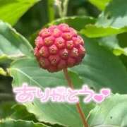 ヒメ日記 2025/08/15 20:12 投稿 みわ(昭和39年生まれ) 熟年カップル名古屋～生電話からの営み～