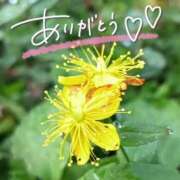 ヒメ日記 2025/08/27 21:56 投稿 みわ(昭和39年生まれ) 熟年カップル名古屋～生電話からの営み～