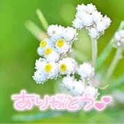 ヒメ日記 2025/09/08 22:19 投稿 みわ(昭和39年生まれ) 熟年カップル名古屋～生電話からの営み～