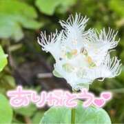 ヒメ日記 2025/09/13 21:47 投稿 みわ(昭和39年生まれ) 熟年カップル名古屋～生電話からの営み～