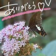 ヒメ日記 2025/09/24 21:46 投稿 みわ(昭和39年生まれ) 熟年カップル名古屋～生電話からの営み～