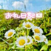 ヒメ日記 2025/10/13 22:01 投稿 みわ(昭和39年生まれ) 熟年カップル名古屋～生電話からの営み～