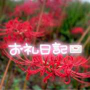 ヒメ日記 2025/10/21 22:03 投稿 みわ(昭和39年生まれ) 熟年カップル名古屋～生電話からの営み～