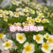 ヒメ日記 2025/10/30 22:07 投稿 みわ(昭和39年生まれ) 熟年カップル名古屋～生電話からの営み～