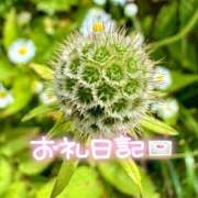 ヒメ日記 2025/11/04 21:36 投稿 みわ(昭和39年生まれ) 熟年カップル名古屋～生電話からの営み～