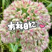 ヒメ日記 2025/11/06 21:40 投稿 みわ(昭和39年生まれ) 熟年カップル名古屋～生電話からの営み～