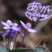 ヒメ日記 2025/11/10 21:13 投稿 みわ(昭和39年生まれ) 熟年カップル名古屋～生電話からの営み～