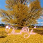 ヒメ日記 2025/11/23 22:00 投稿 みわ(昭和39年生まれ) 熟年カップル名古屋～生電話からの営み～