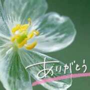 ヒメ日記 2025/11/30 21:30 投稿 みわ(昭和39年生まれ) 熟年カップル名古屋～生電話からの営み～