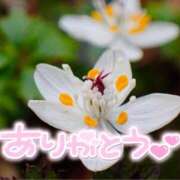 ヒメ日記 2025/12/10 23:36 投稿 みわ(昭和39年生まれ) 熟年カップル名古屋～生電話からの営み～